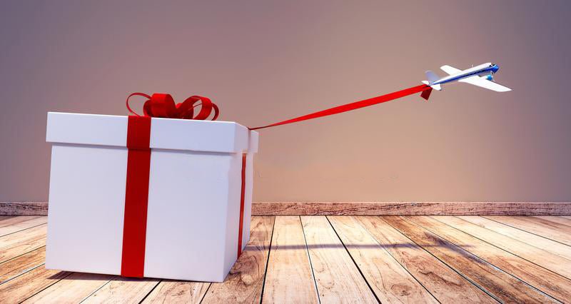 10 Gift Ideas for Aviation Enthusiasts - AeroMugs.com