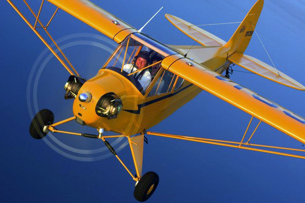 The Timeless Charm of the Piper Cub