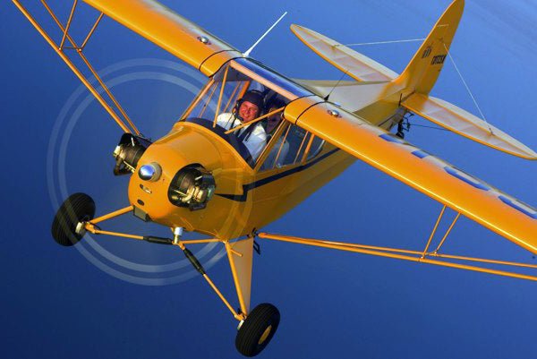 The Timeless Charm of the Piper Cub - AeroMugs.com
