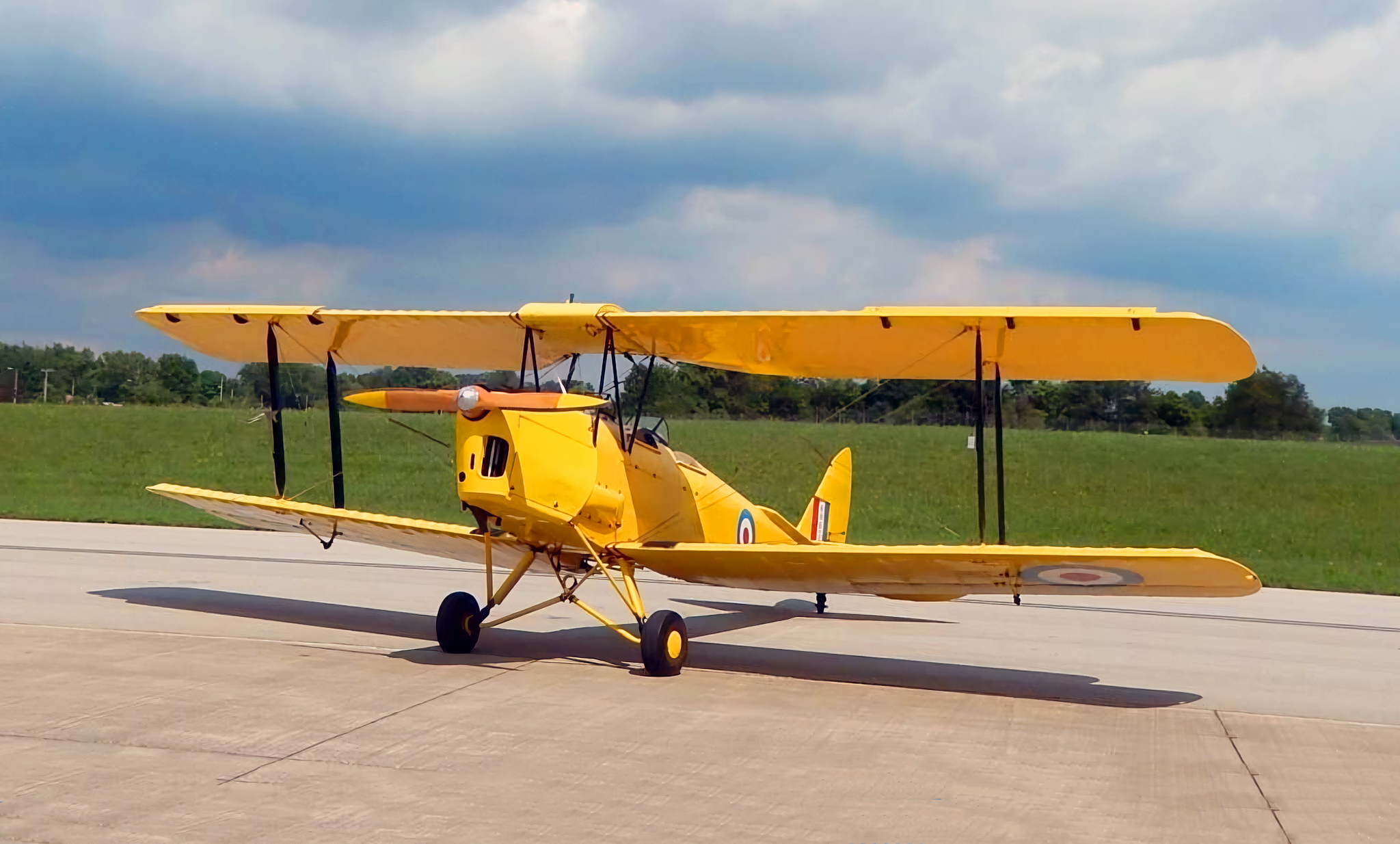 The Enduring Legacy of the De Havilland DH82 Tiger Moth