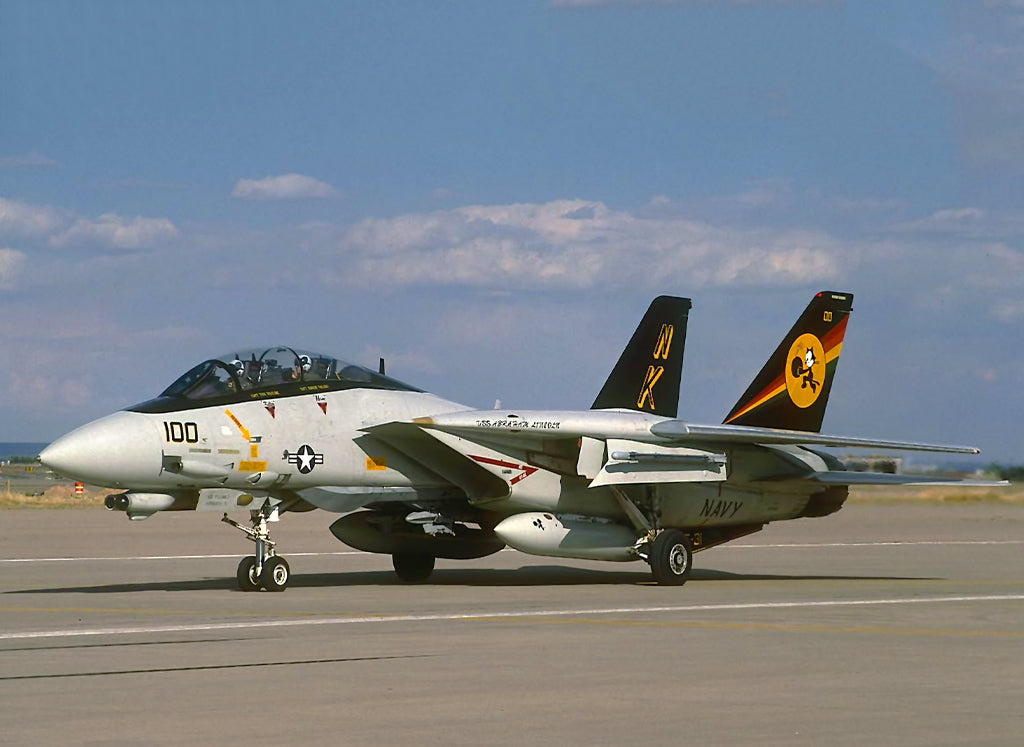 Grumman F-14D Tomcat