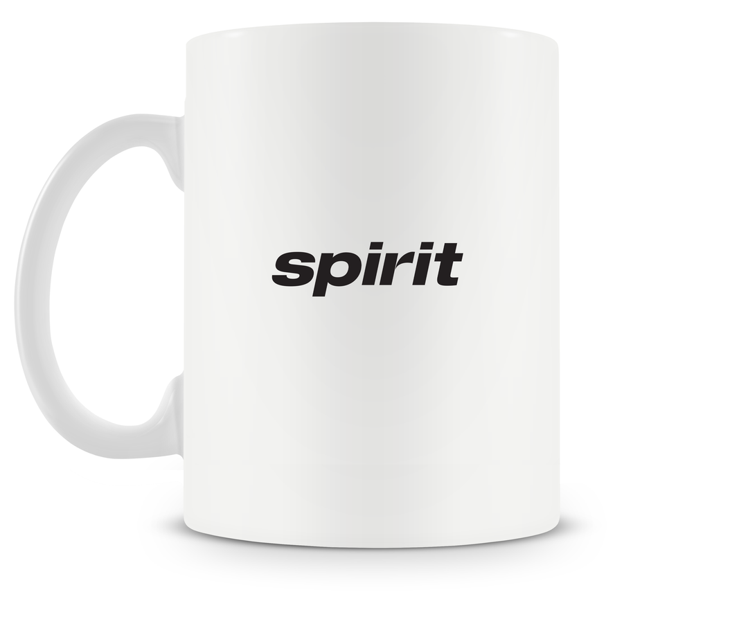 Spirit Airlines Airbus A320