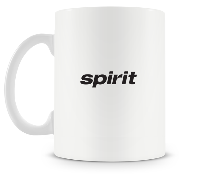 Spirit Airlines Airbus A320